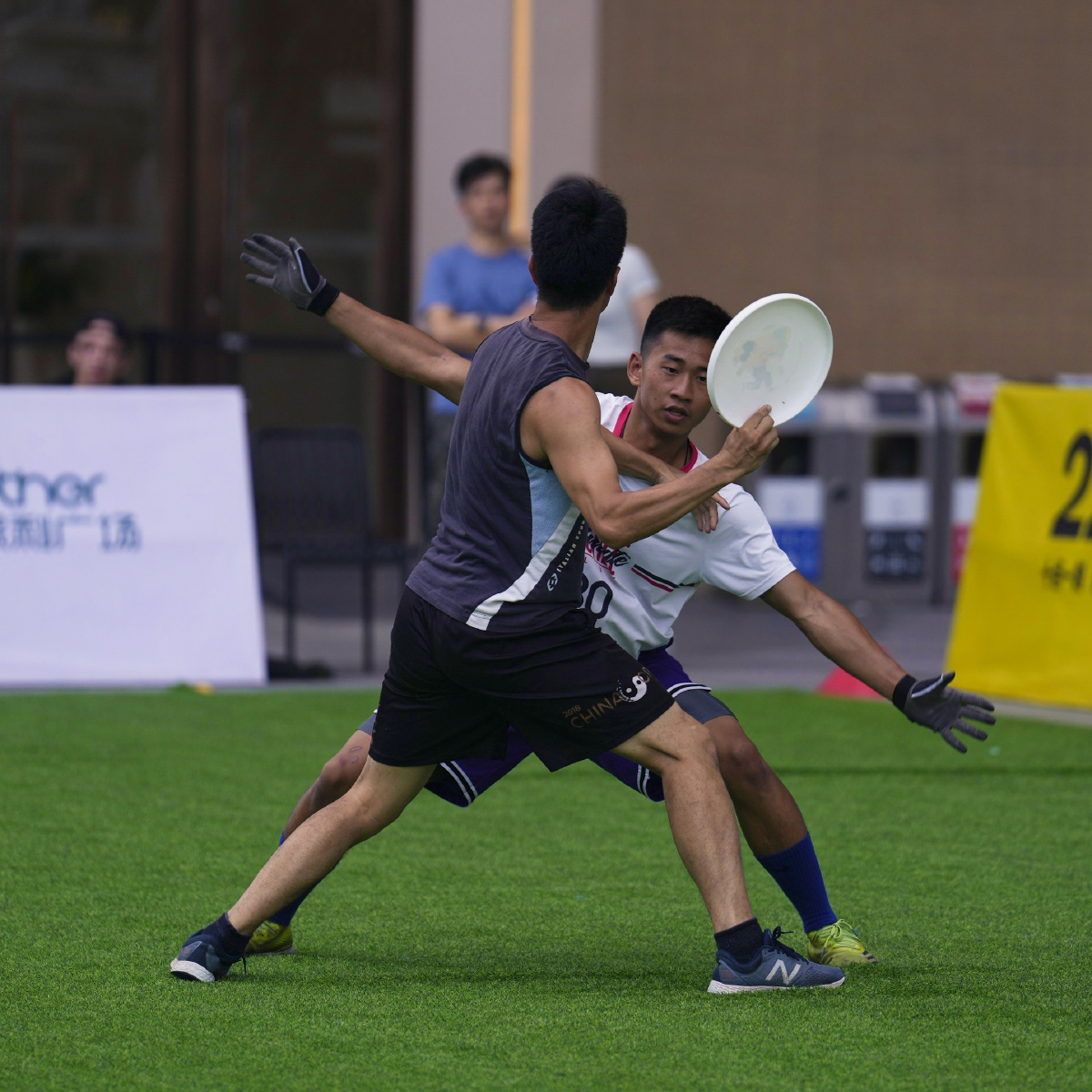 飞盘比赛精彩瞬间