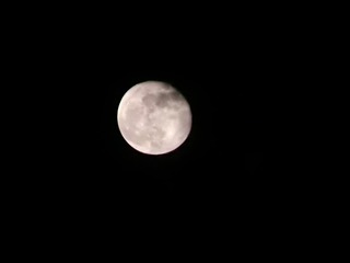 50D7D7C0-93B8-469B-A588-2AE7CBF2BDB1/L0/001