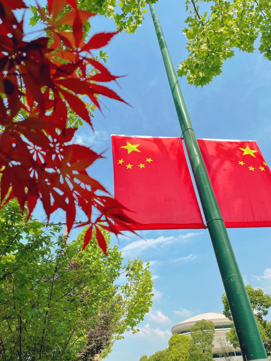 五一国庆看着枫叶和国旗很配看到艺术馆设计好特别