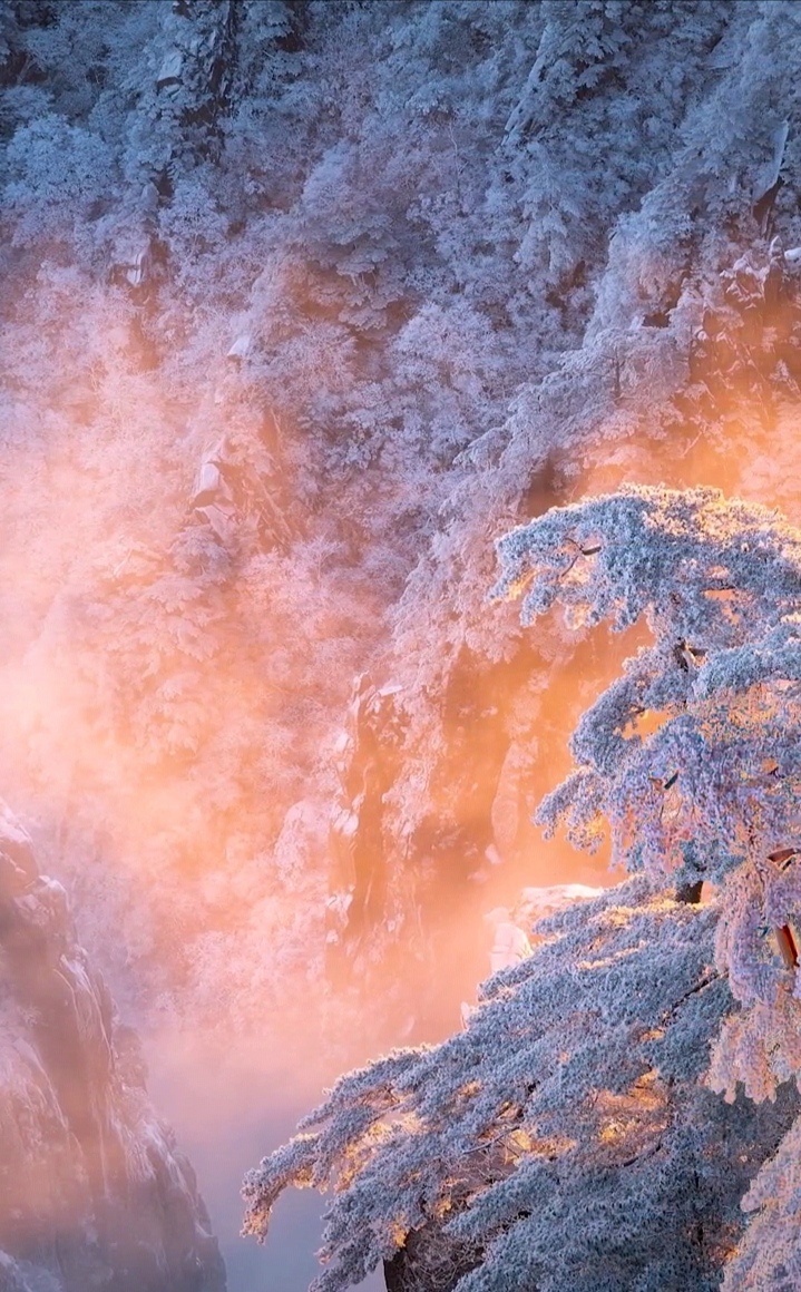 719_1160竖版 竖屏