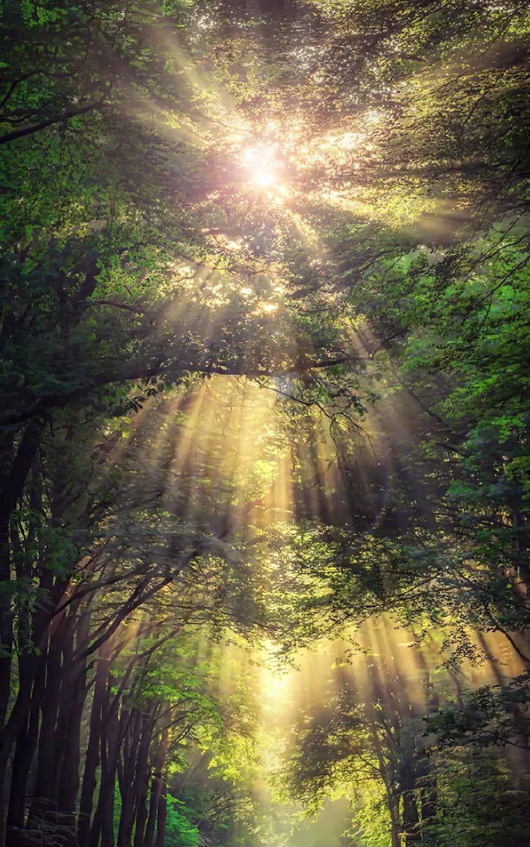 愿你在每一个清晨醒来阳光很暖风很甜万物可爱人间值得7878