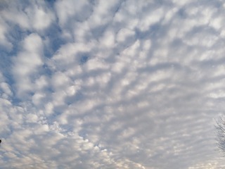 1980408