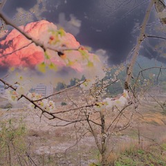 140586