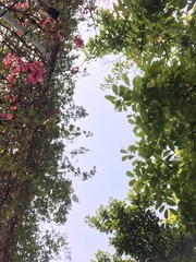 1000007458