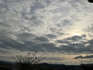 67C2E148-3134-44C5-B527-1E55F2628623/L0/001