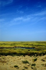 DSC_8956副本.jpg
