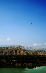 DSC_9346副本.jpg