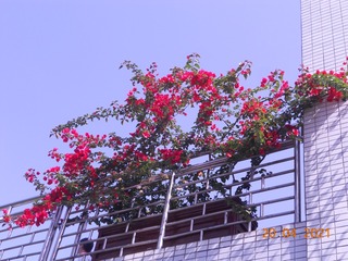 78771D73-5319-4368-BE3D-261D31F509D4/L0/001