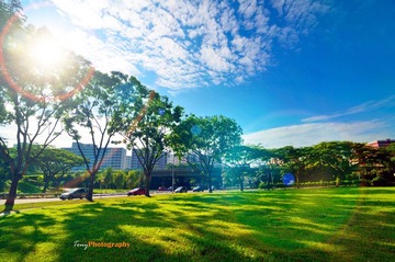 DSC_4296_7 - Copy1.jpg