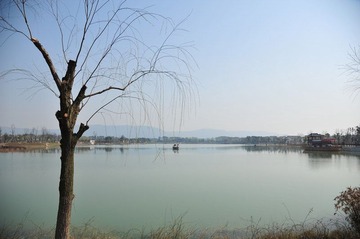 DSC_8136.jpg