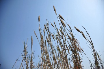 DSC_8169.jpg
