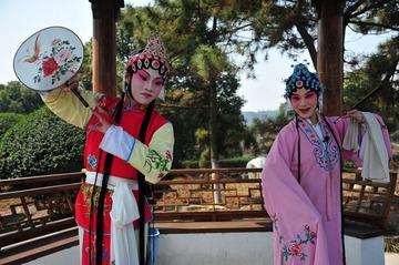 DSC_8231.jpg