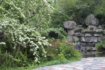 PICT0610.JPG