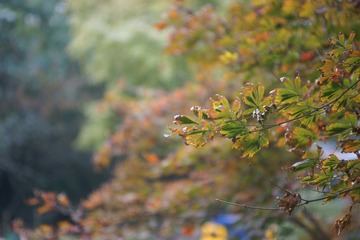 _DSC7772