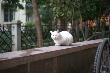 _DSC7785