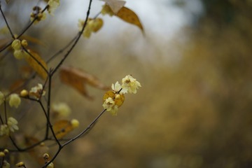 _DSC0120