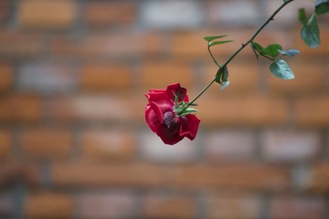 _DSC0147