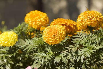 L8970439
