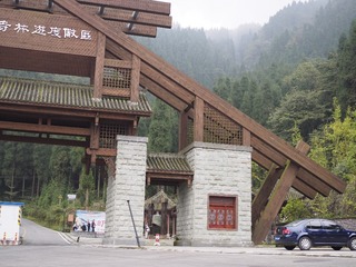_A050011