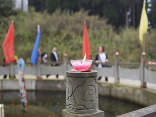 _A050044