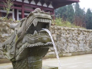 _A050050