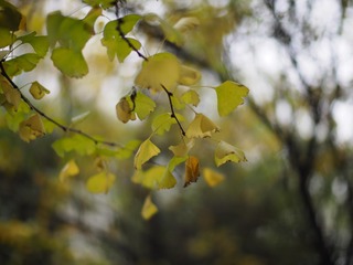 _B280106