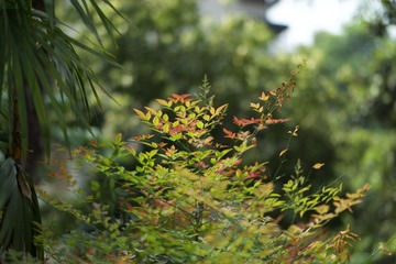 _DSC7851 (1)