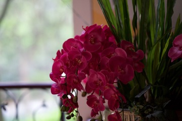 _DSC7866