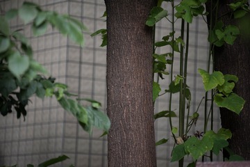 _IMG0140