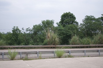 _IGP6412