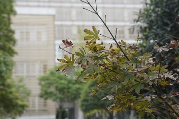 _DSC0167