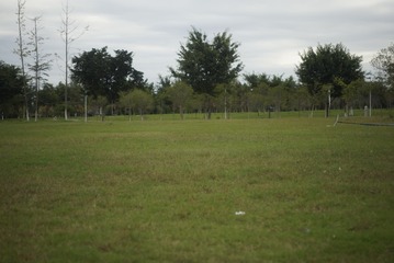 _DSC0175