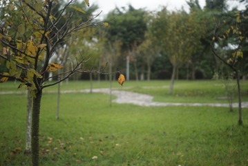 _DSC0176