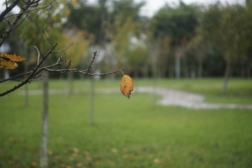 _DSC0177
