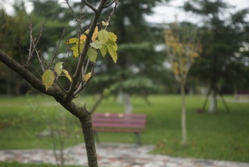 _DSC0178
