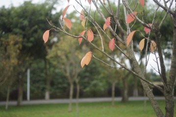 _DSC0180