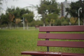 _DSC0181