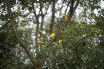 _DSC0187