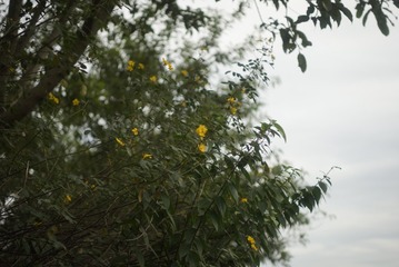 _DSC0188
