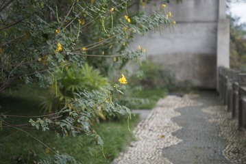 _DSC0195