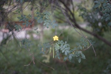 _DSC0201