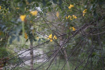 _DSC0202