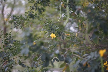 _DSC0203
