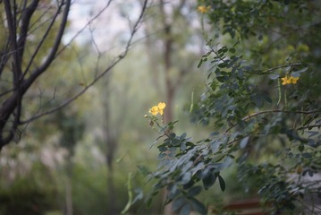 _DSC0204