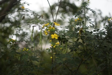_DSC0205