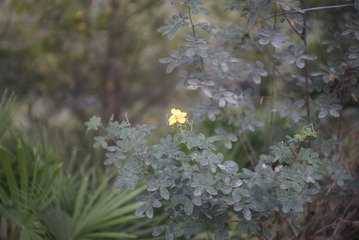 _DSC0207