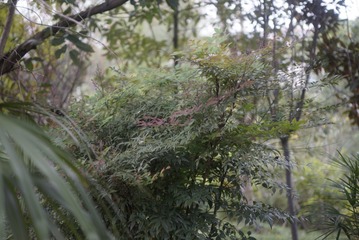 _DSC0210