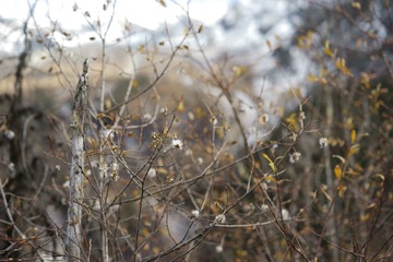 _DSC8356