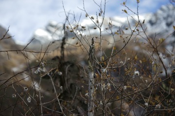_DSC8357