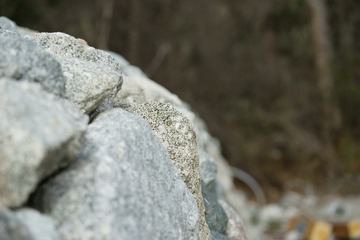 _DSC8371